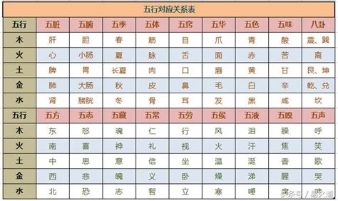 五行職業|細選【八字五行職業】，屬性對應必事半功倍！【社會新鮮人必看】